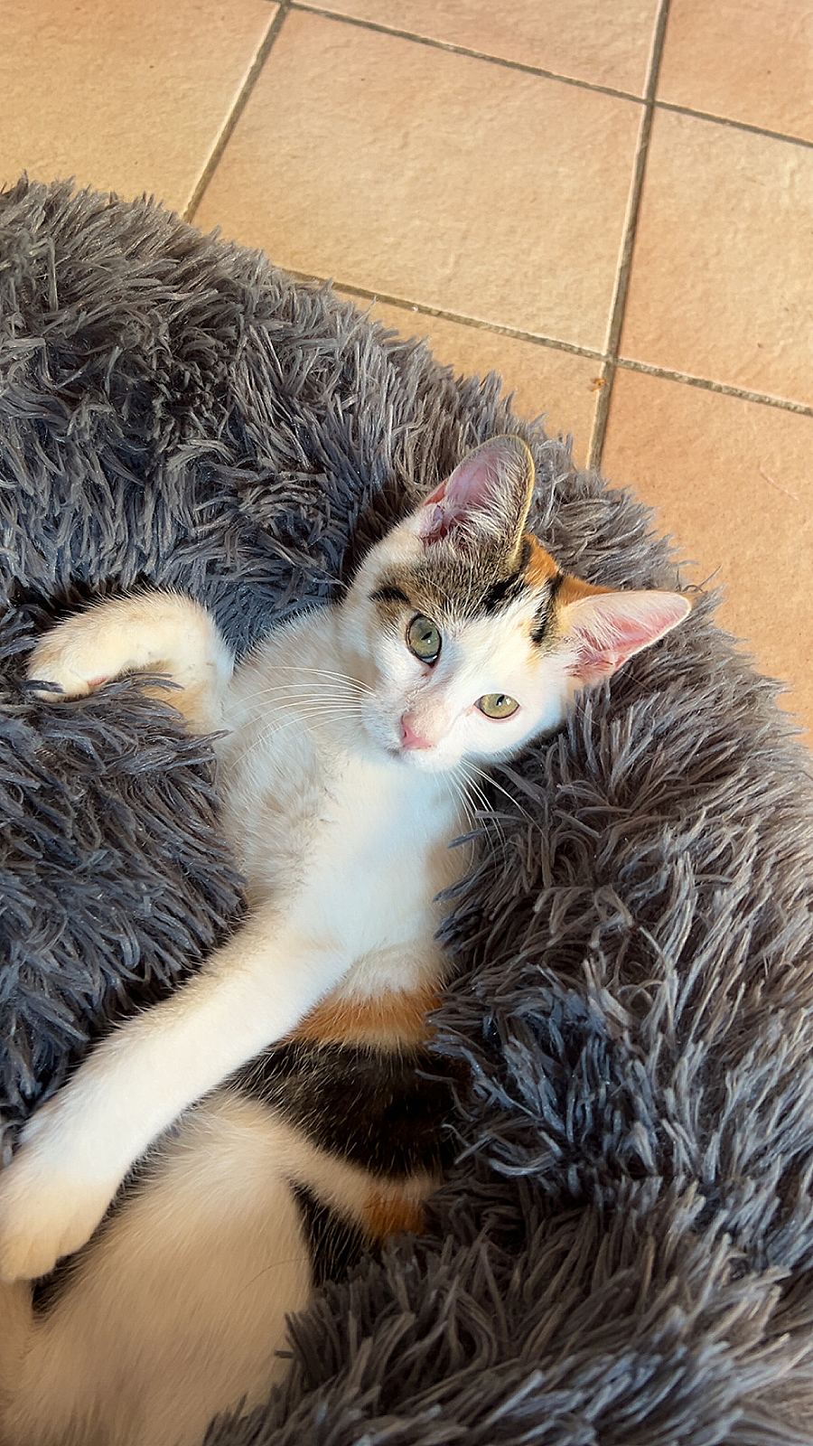 Nina