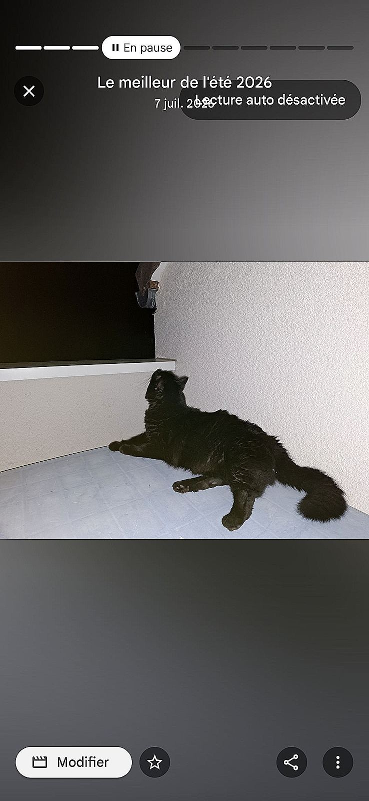 Photo de l’animal
