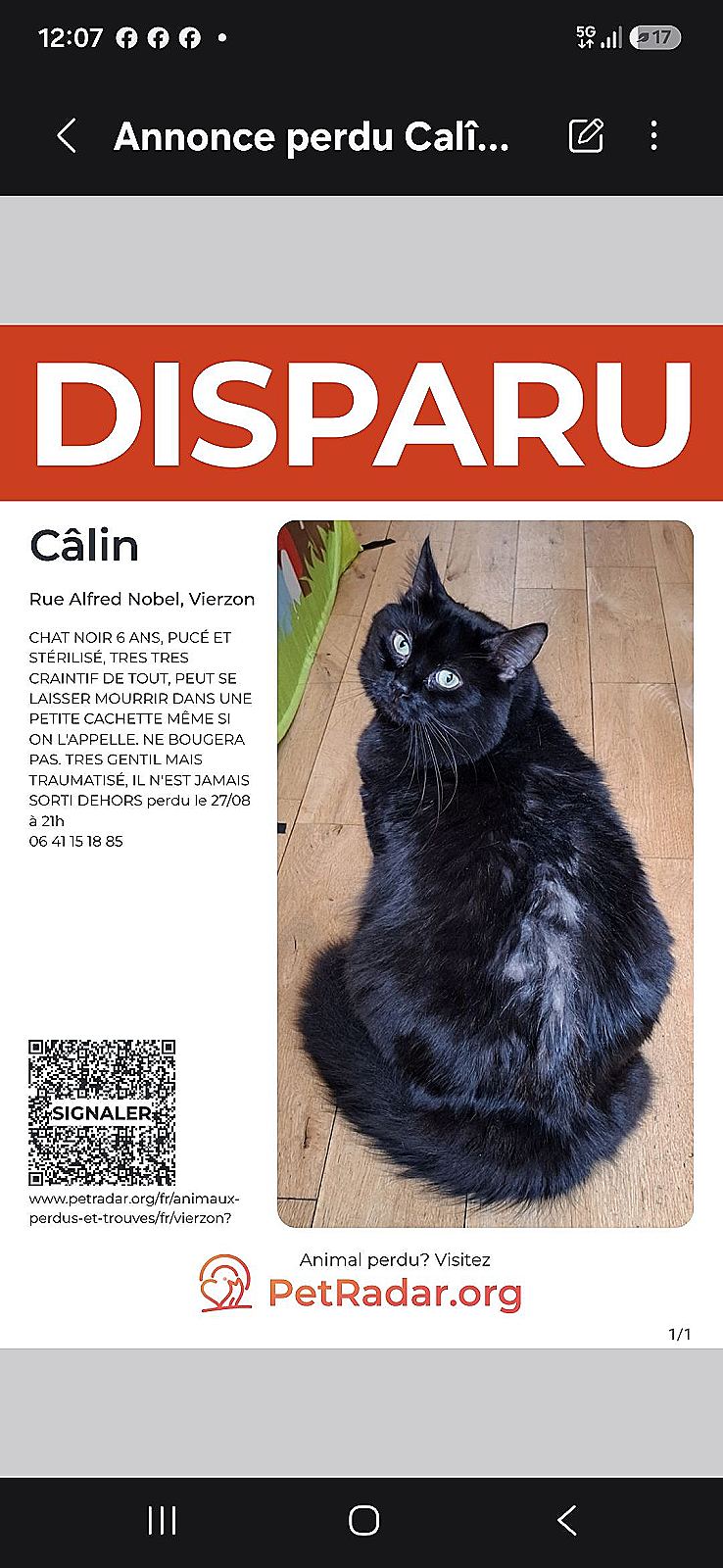 Câlin