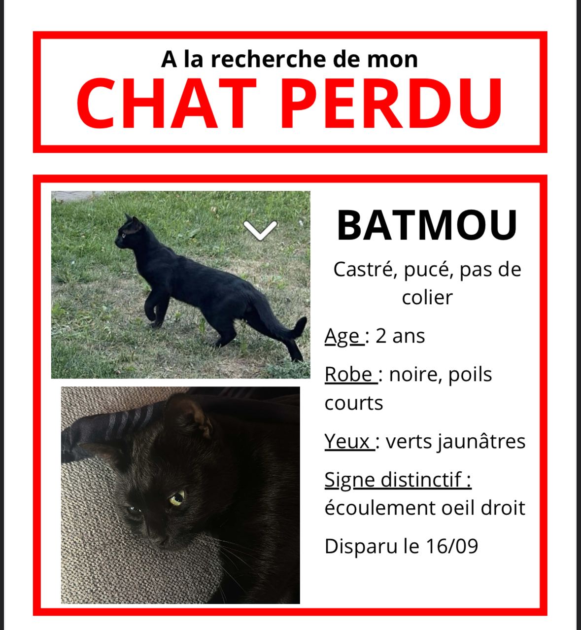 Photo de l’animal