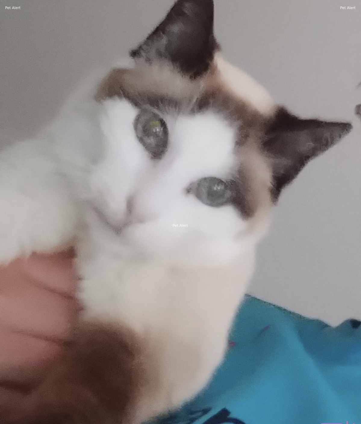 Winnie 