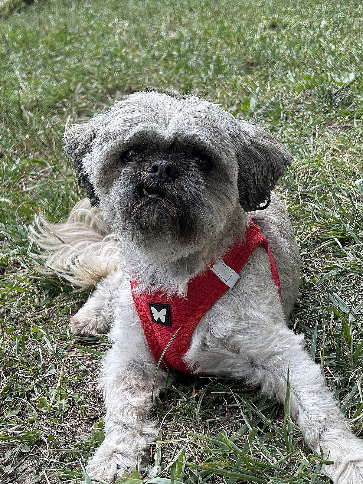 Diego 