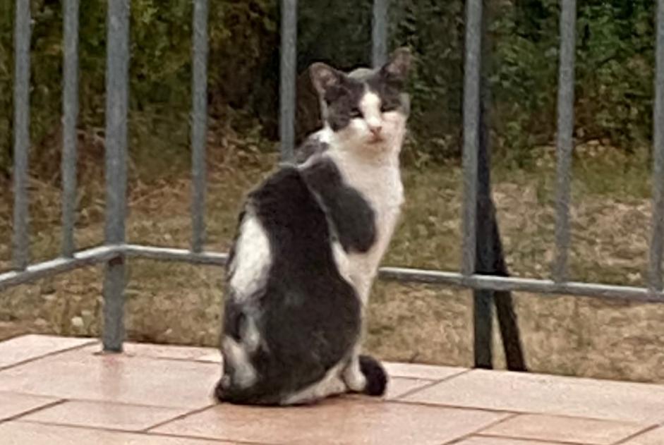 Signalement similaire