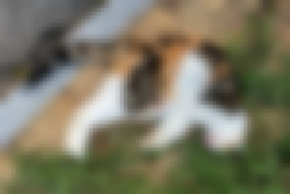 chat signalé à Sullens