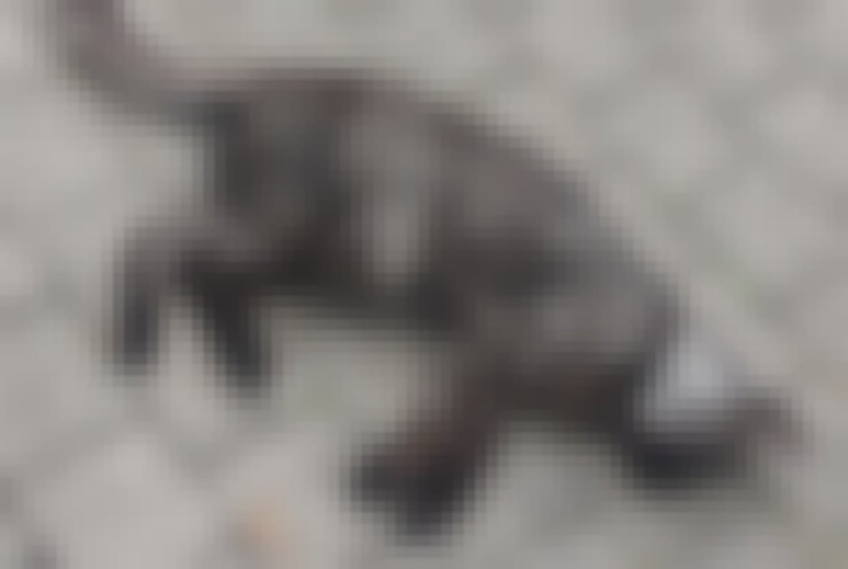 chat