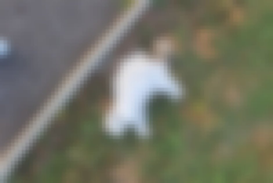 chat signalé à Valgelon-La Rochette