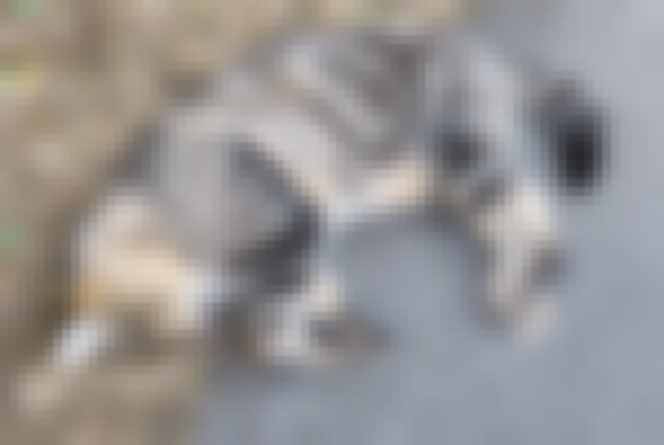 chat