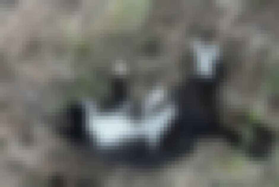 chat