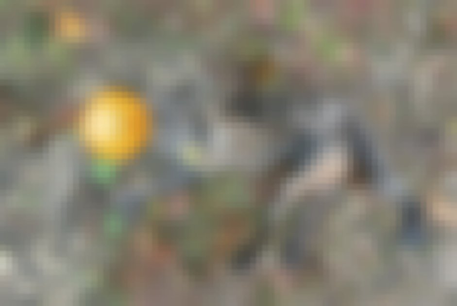 chat signalé à Valserhône