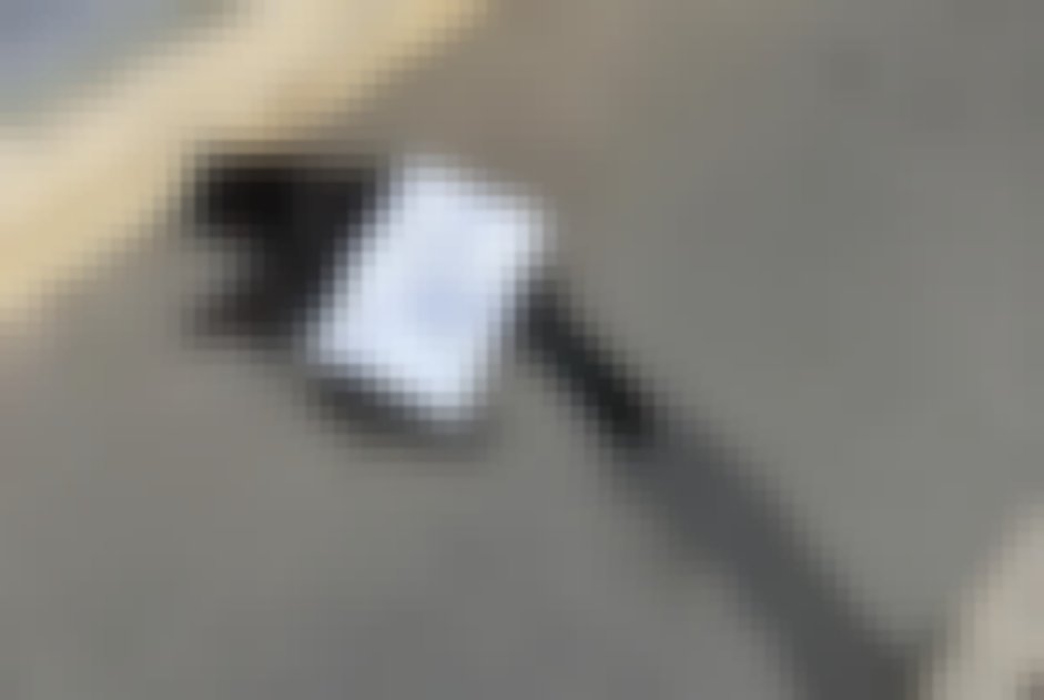 chat signalé à Meudon